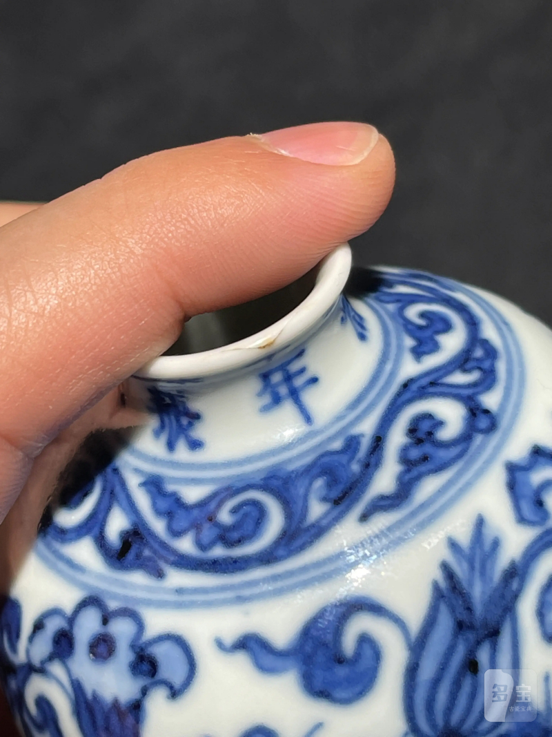 清雍正 青花缠枝花卉纹梅瓶 - 图12